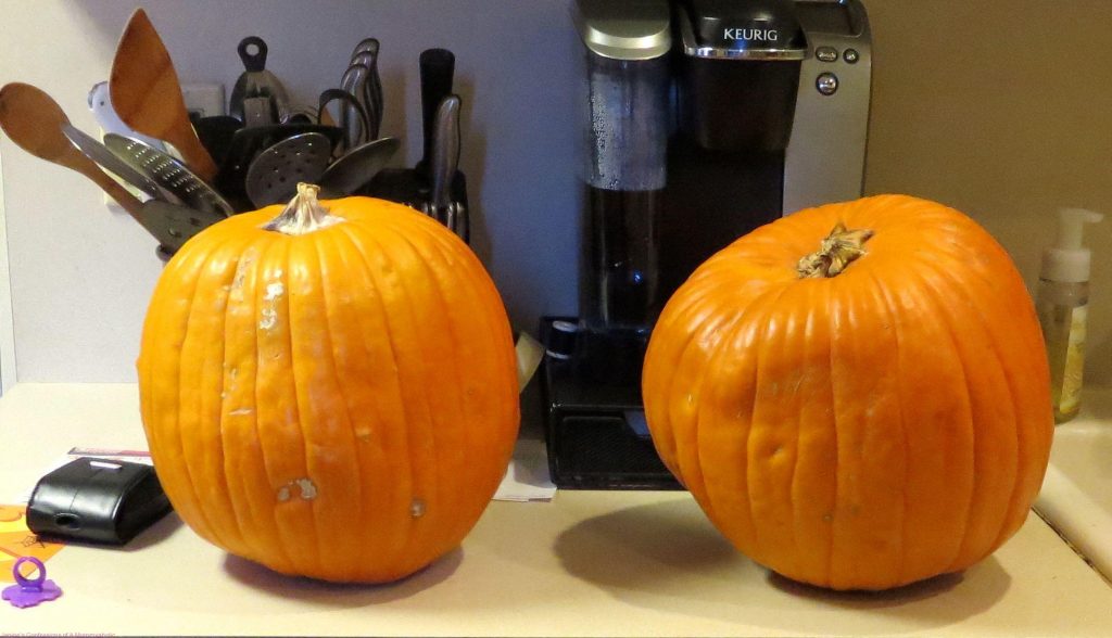 Lowes Carving Pumpkins