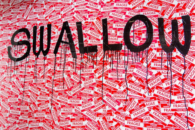 swallow-restaurant-wall-fragile