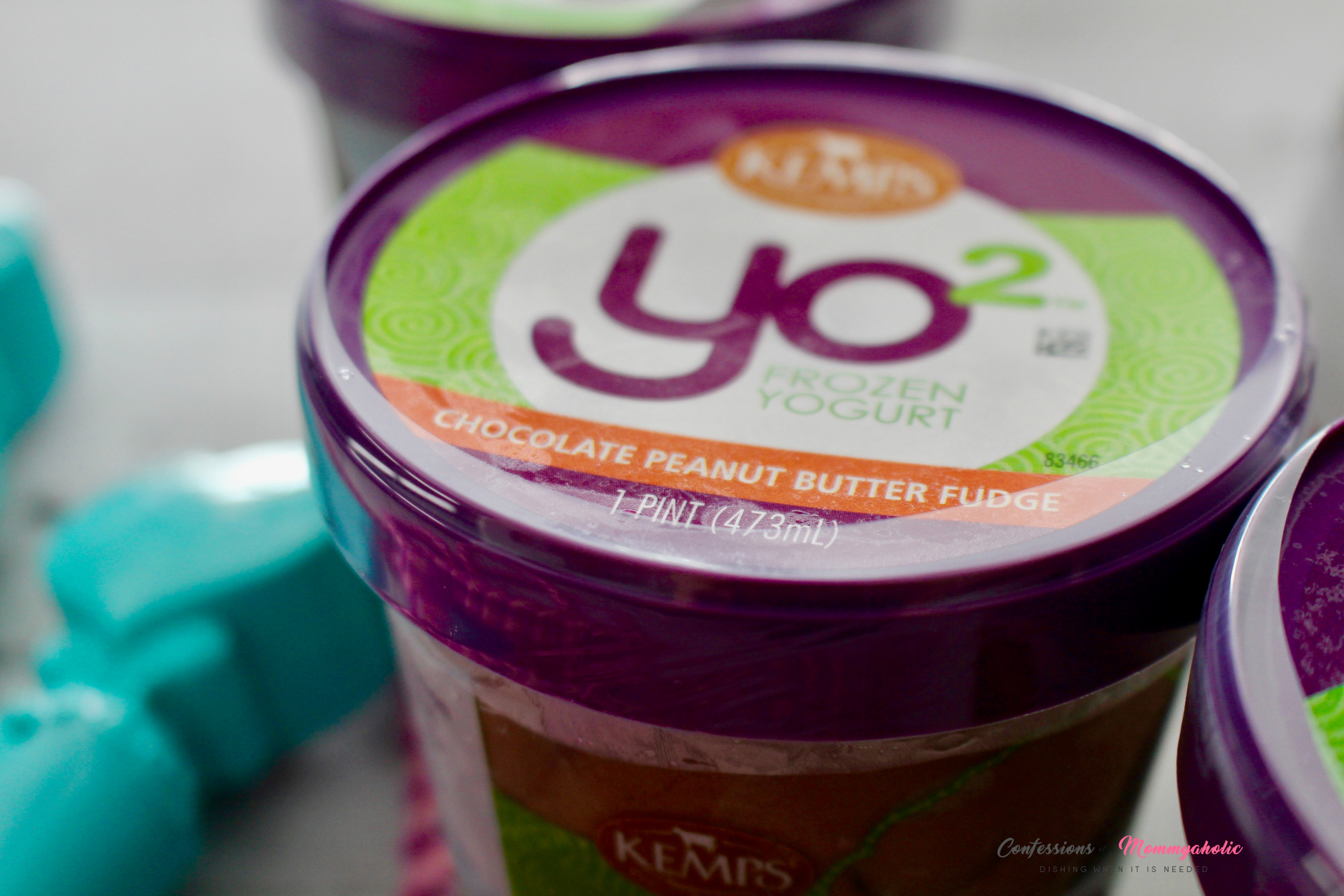 Kemps YO2 Chocolate Peanut Butter Fudge Frozen Yogurt