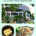How to Plan a Kid Friendly Picnic in Your Own Backyard TSSBH