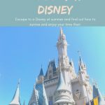 How To Survive Disney During Summer Vacations