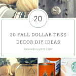 20 Fall Dollar Tree Decor DIY Ideas
