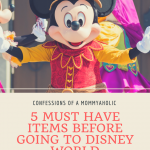 5 Must Have Items to Buy Before Going to Disney World