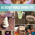 The 6 Best Disney World Dining Tips