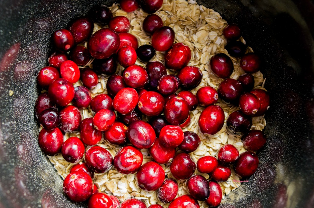 Cranberries for Easy Overnight Cranberry Eggnog Oatmeal Recipe