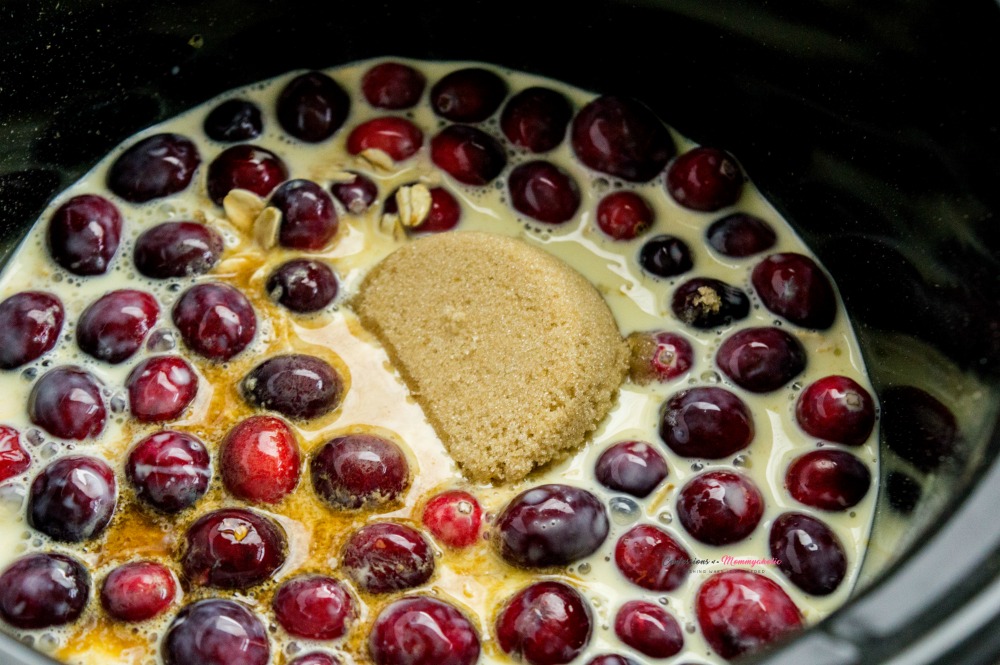 Ingredients in Crockpot for Easy Overnight Cranberry Eggnog Oatmeal Recipe