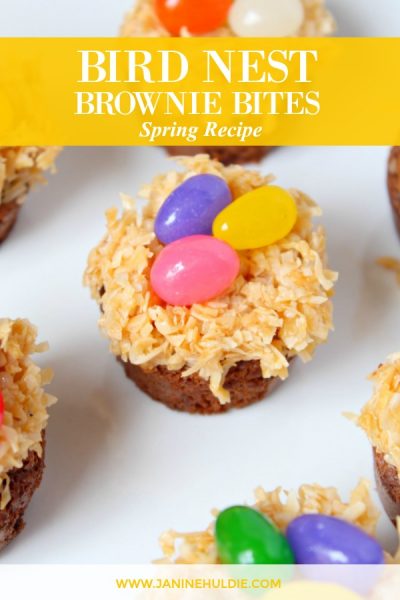 Bird Nest Brownie Bites Treats Recipe Featured Image