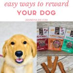 How to Easily Reward Your Dog