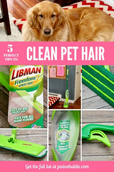 5 Perfect Tips to Clean Pet Hair