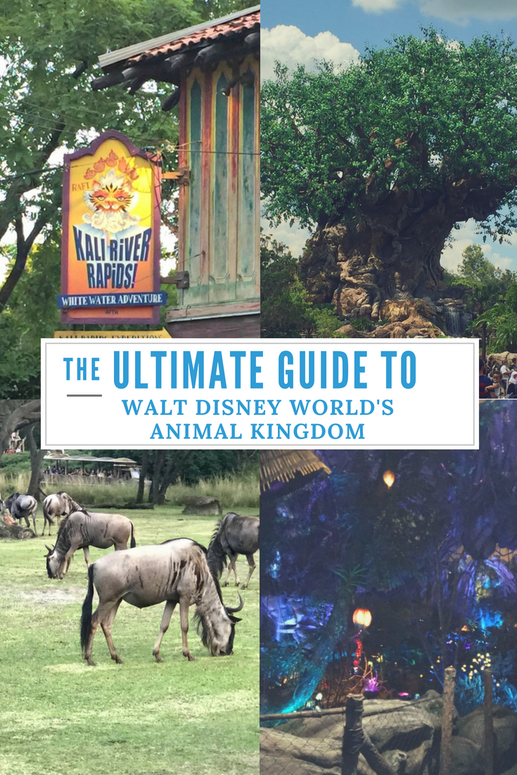 The Ultimate Guide to Walt Disney Worlds Animal Kingdom