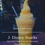 Can’t Miss Disney Snacks Found at Walt Disney World