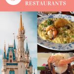Single Credit Table Service: 5 Best Disney World Restaurants