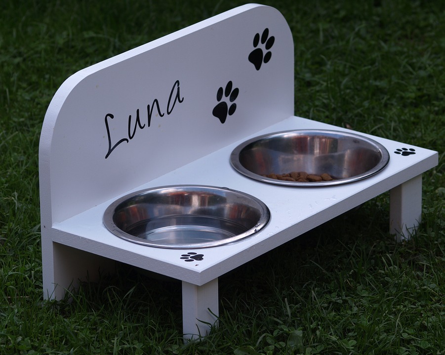 Dog Food and Water Bowls