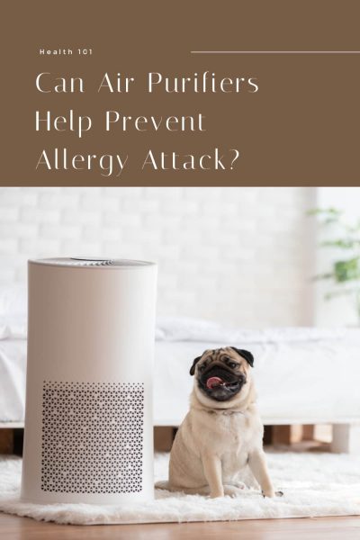 Can-Air-Purifiers-Help-Prevent-Allergy-Attack