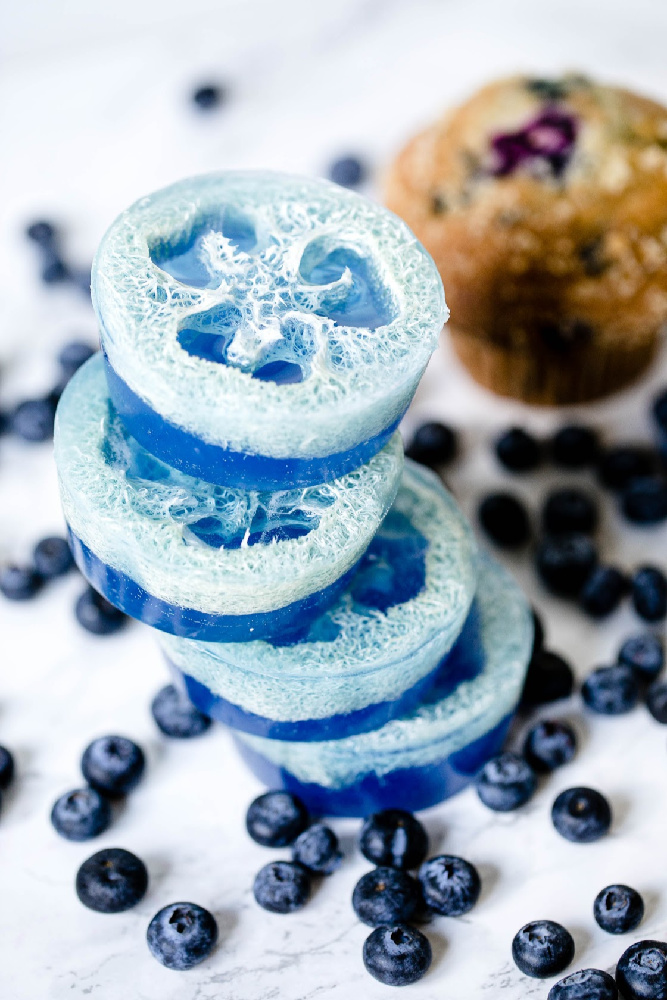 Blueberry Muffins Loofah Soap 11