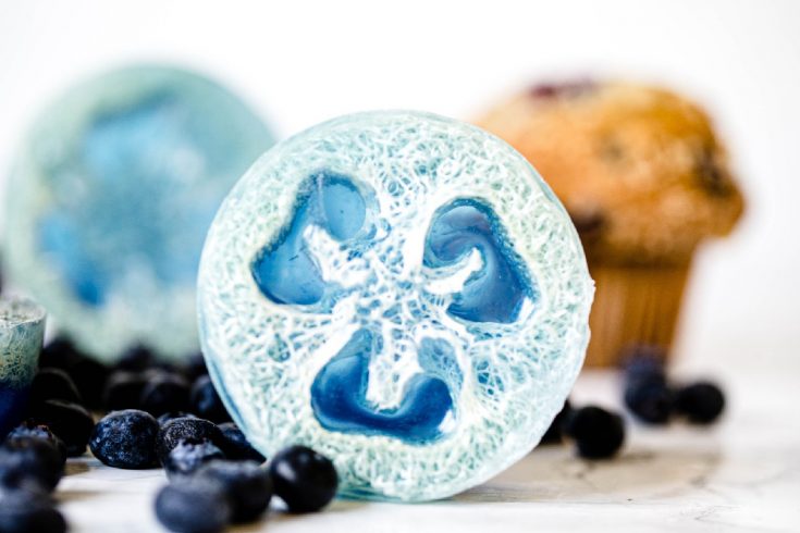 Blueberry Muffins Loofah Soap 7