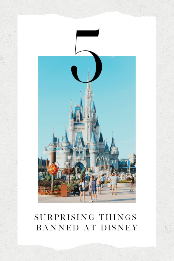 5-Things-Banned-at-Disney-World