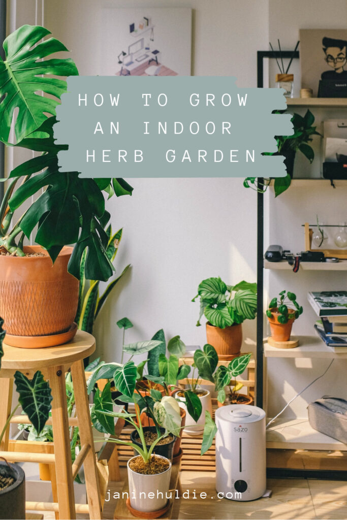 Learn How You Can Grow An Indoor Garden