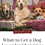 What Do You Get a Dog Lover For Christmas?