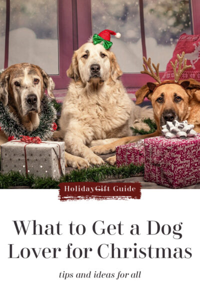 Ideas-to-Get-a-Dog-Lover-for-Christmas