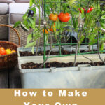 How to Make Your Very Own Victory Garden
