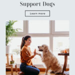 Dogs For Emotional Support