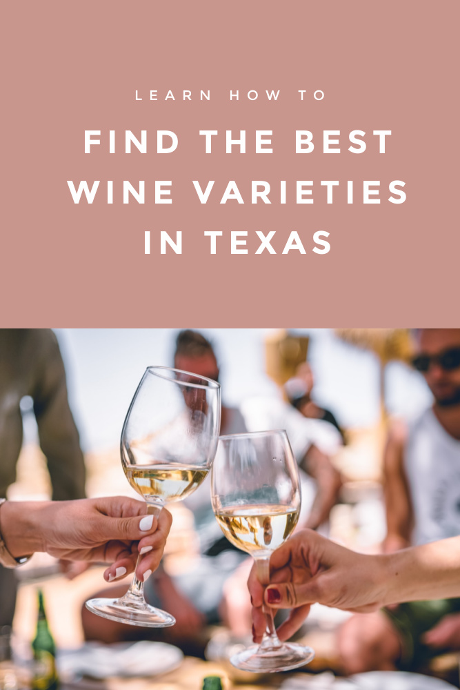 Best Wine Varieties Tips