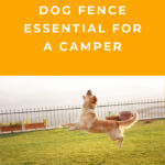 Why Is A Dog Fence Essential For The Camper?