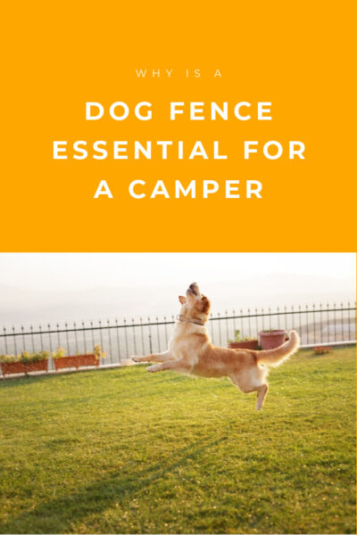 Dog Fence Tips for Campers
