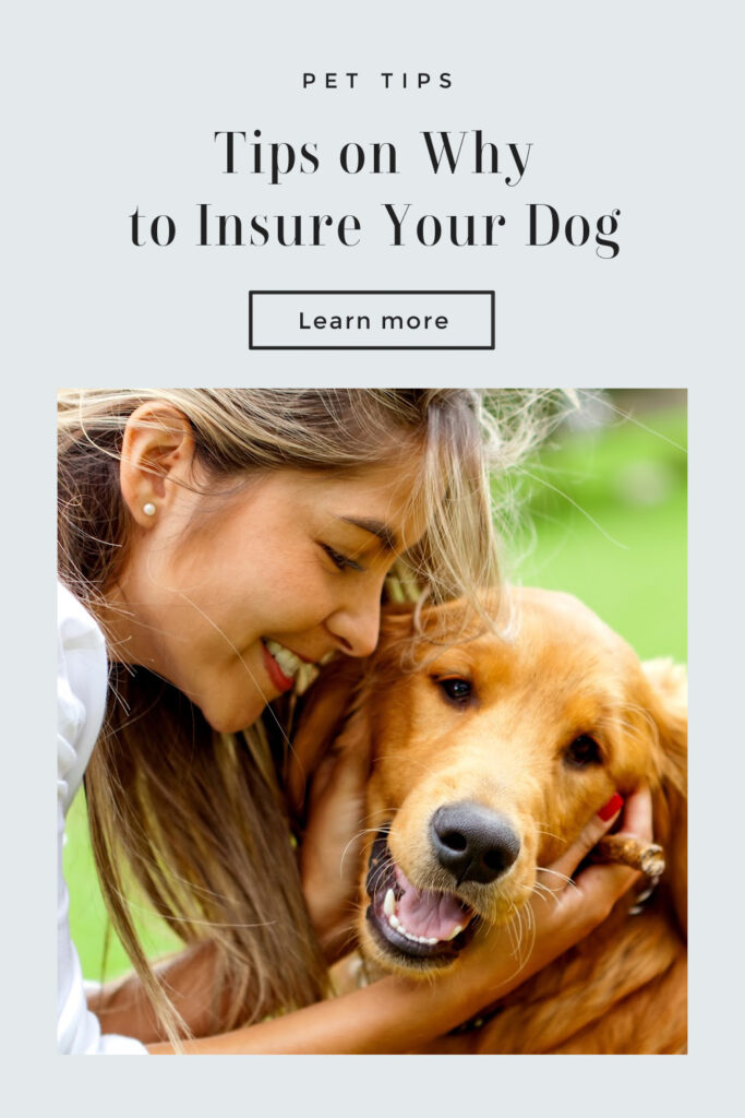 Insure Your Dog Tips