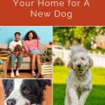 4 Ways To Prepare Your Home For A New Dog