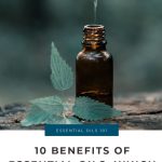 The Top Ten Benefits of Essential Oils: Which Are Right for You?