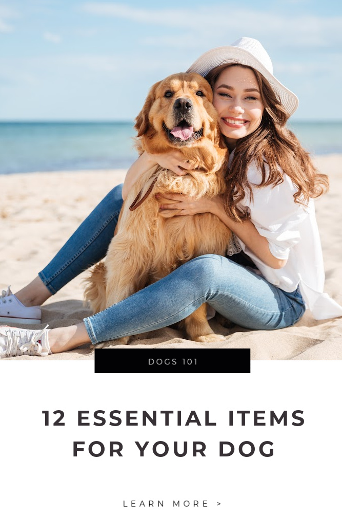12 Essential Items for your Dog This Mom's Confessions
