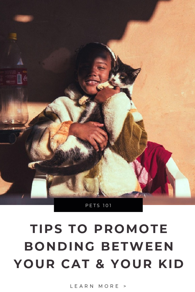 Your Cat and Your Kid Tips