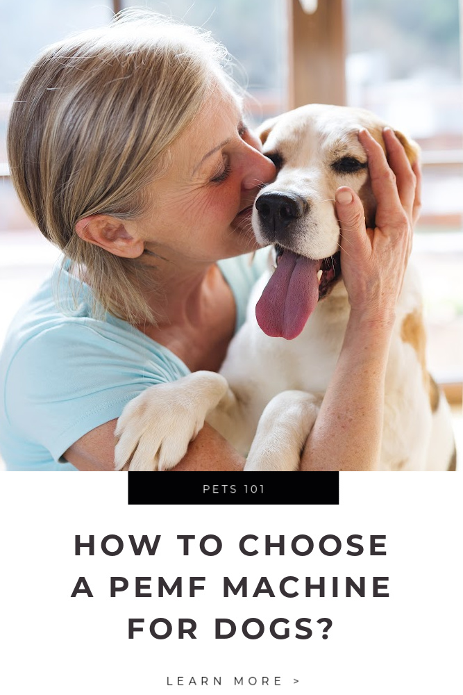 How to choose a PEMF Machine for Dogs Tips