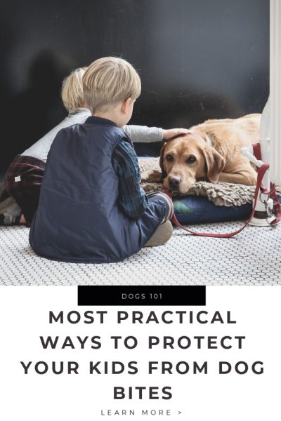 Ways to Protect Your Kids from Dog Bites Tips