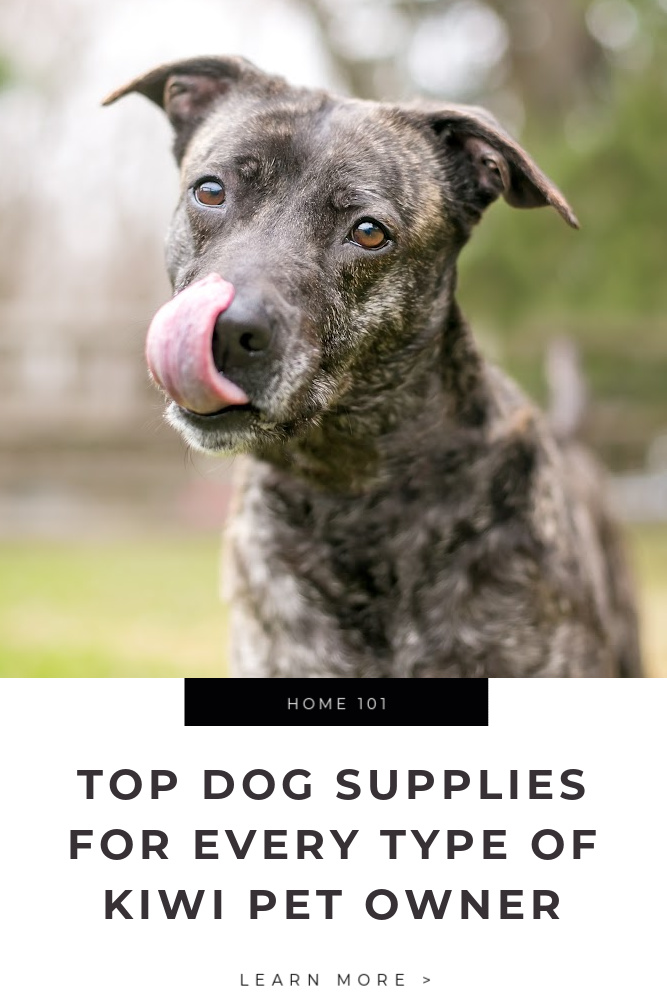 Top Dog Supplies for Every Type of Kiwi Pet Owner Tips