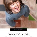 <strong>Why Do Kids Misbehave When You Have Company?</strong>