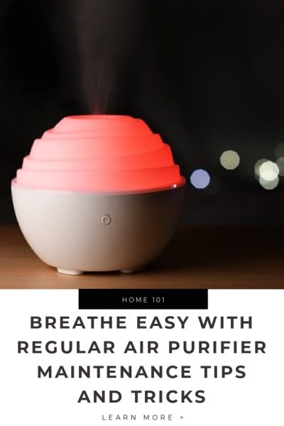 Breathe Easy with Regular Air Purifier Maintenance_ Tips and Tricks Tips
