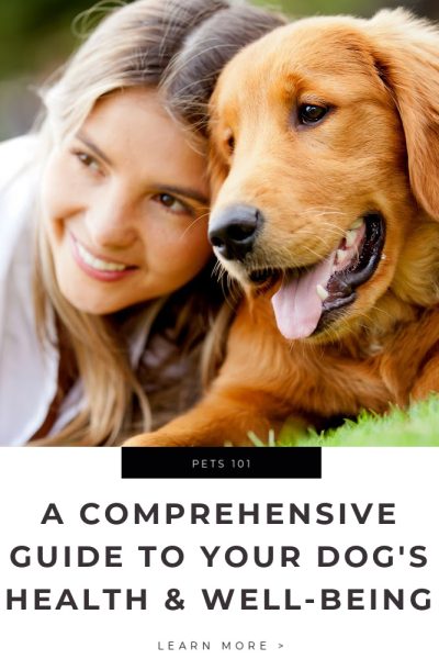 From Exercise to Grooming_ A Comprehensive Guide to Your Dog’s Health and Well-Being Tips